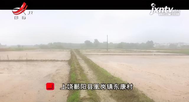 关于四川移动破碎机的环评手续的信息