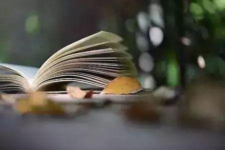 语文课本56页拼读训练（语文教材连滚带爬）(2)