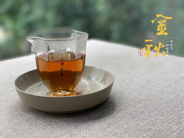 云龙轮斗洗砂机品牌