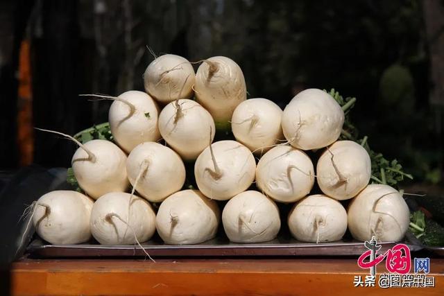 秋分丨12种食物预防秋燥