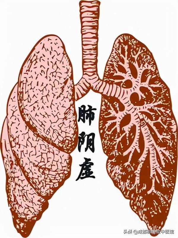 生病这么久了，原来都是肺阴虚惹的祸，老中医告诉我这么调理