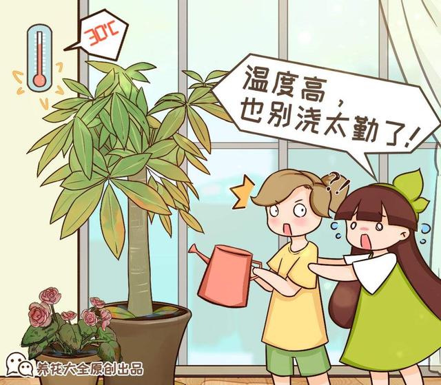 植物动不动就黄叶，这8个原因弄清楚，想黄叶都难6