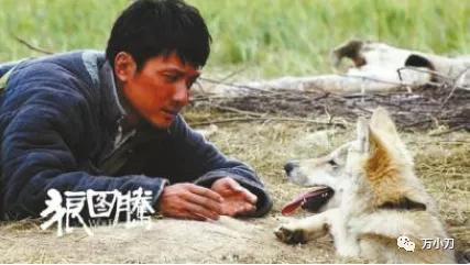 杨幂和冯绍峰上过床(冯绍峰与杨幂)