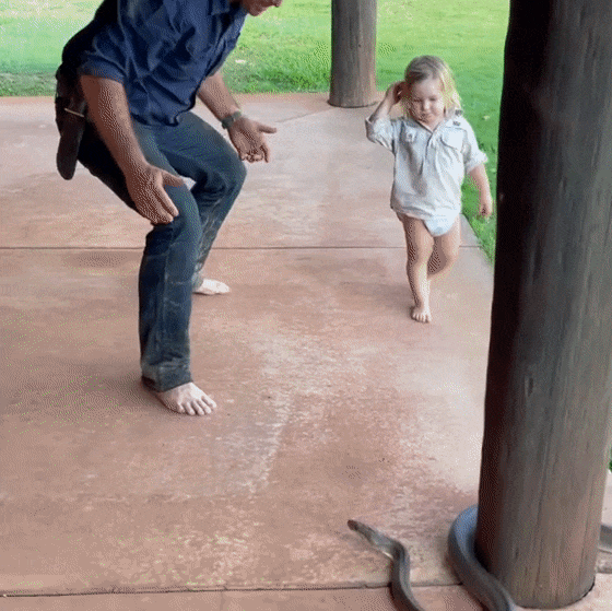 澳洲狂野早教：2岁娃单挑巨蟒，爸爸在一旁指点加油，这？