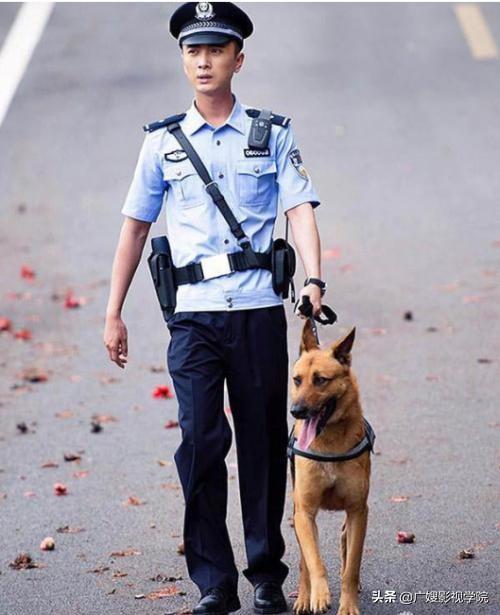 警犬来啦何木棉受伤(警犬来啦何木棉受伤了)