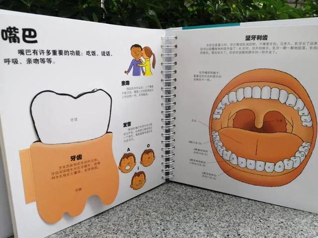 "我们的身体，翻烂了的机关书"