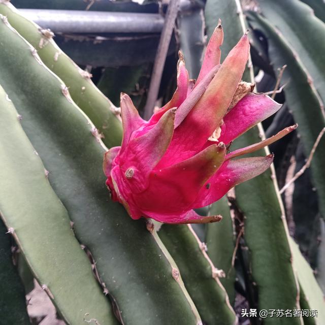 父母都不管孩子怎么办(父母都不管的孩子怎么办)