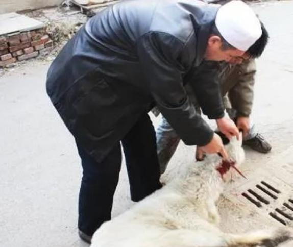 古尔邦节是什么意思