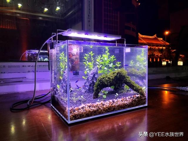 关于家用微型水过滤机的信息