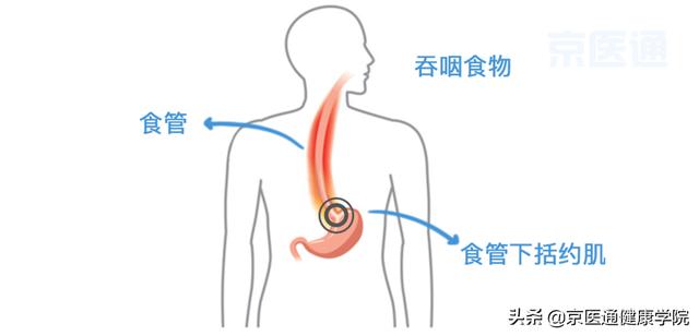 烧胃怎么办