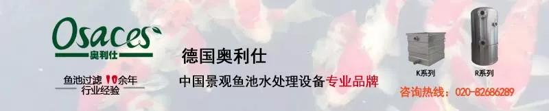 过滤机原理讲解