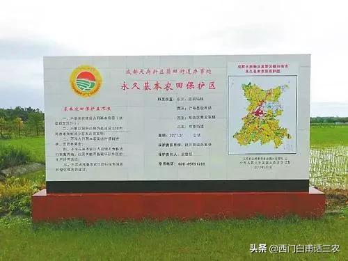 中央退林还耕新政策,退耕还林后水土流失减轻原因-第9张图片