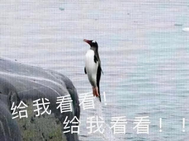 天策名字