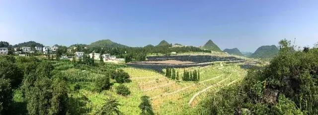 泸西洗砂机厂家