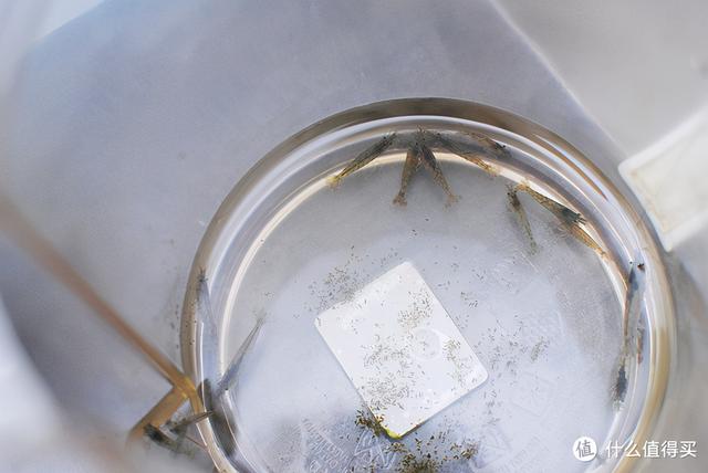 大蜗牛制砂机