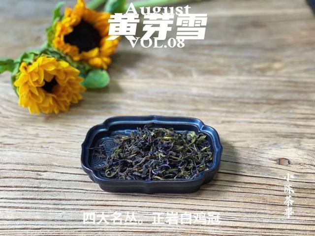 身体浸泡石乳金丹无数