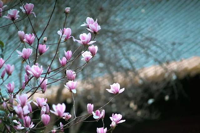 王阳明：立志勤学，改过责善，刚正不阿