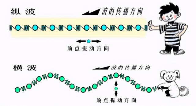 横波和纵波