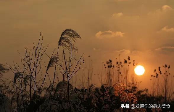 不赌天意，不猜人心，顺其自然，随遇而安