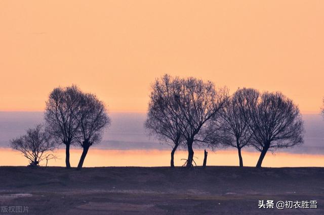 身世浮沉雨打萍