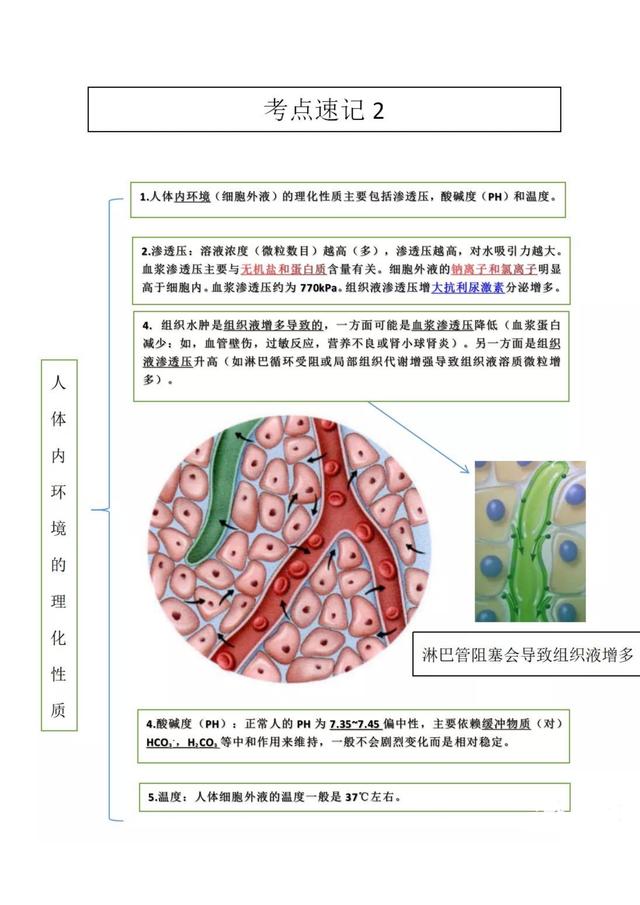 体液调节