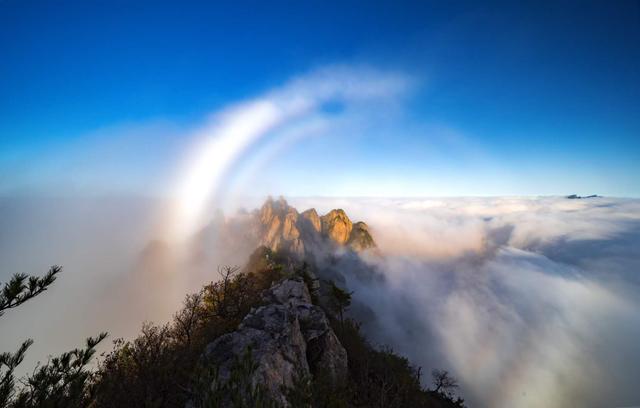 老君山风景区在哪里