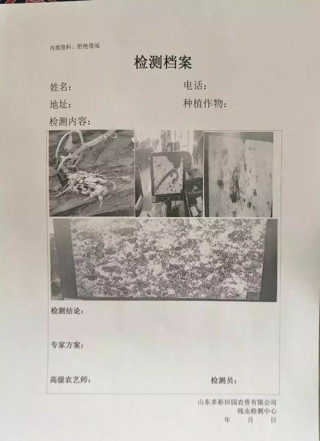 线虫危害大，防治线虫很重要，特效药了解下20