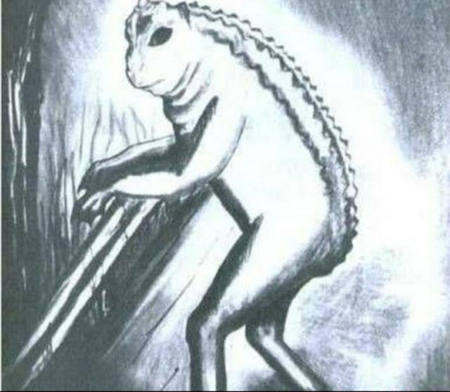 鸡皮疙瘩灵异事件