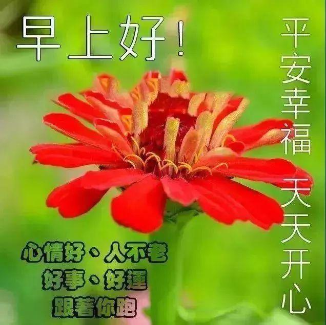 降温天冷的简短暖心问候说说 寒冬温暖早安问候语句配图