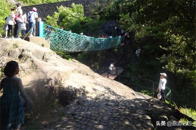 浙江大奇山自驾游（浙江美丽的大奇山）(4)