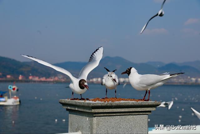 昆明有哪些景点