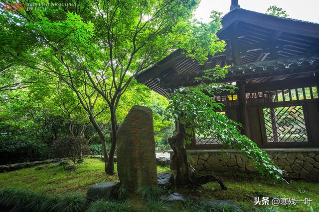 杭州美食介绍 杭州美食介绍「杭州美食介绍及图片」 生活