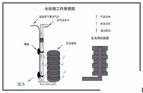 水妖精怎么用