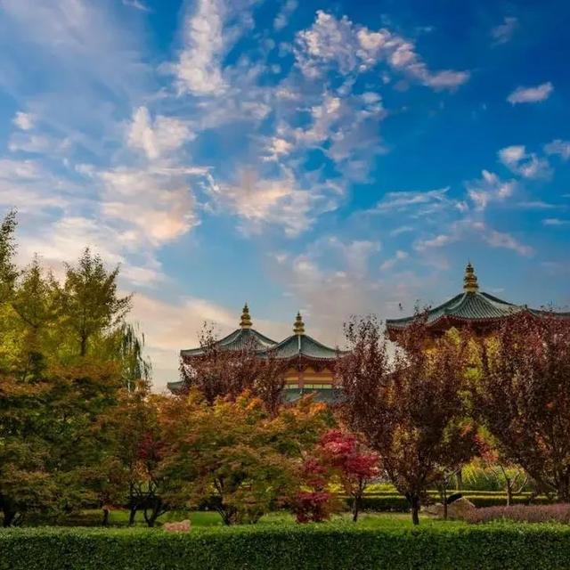 山东秋天景点排行榜前十名（人间最美是秋色）(22)