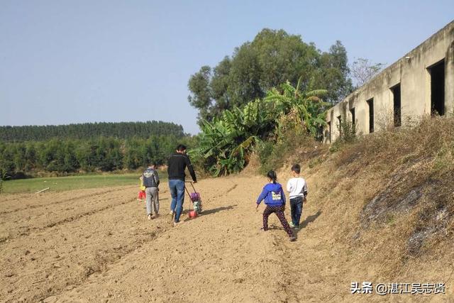 农村生活随记：用手推种花生机种花生，一亩地半个小时搞定2