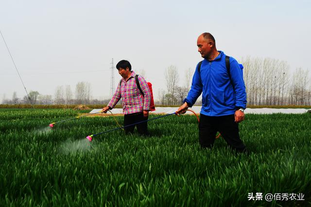 除草剂怎么才能用出好效果？选对喷药时机，田间杂草轻松搞定3