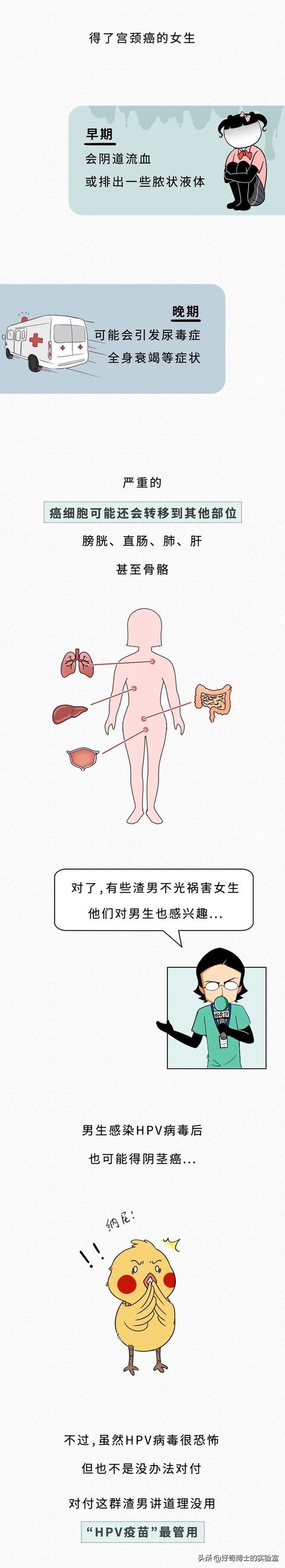 女生说科科是什么意思