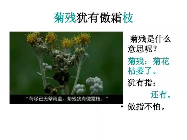 三年级上册语文古诗三首知识点（部编版三年级语文上册第4课古诗三首知识点）(44)