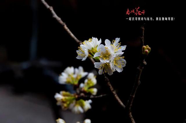 马龙小型洗砂机厂家电话