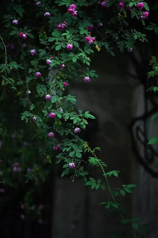 散文：中年回首，人生不过如此