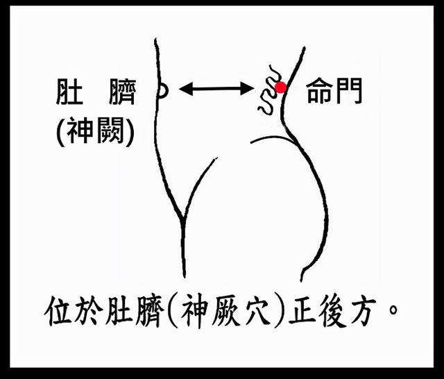 九種體質你到底屬于哪一種，又該怎樣調理？中醫陳瑩告訴您