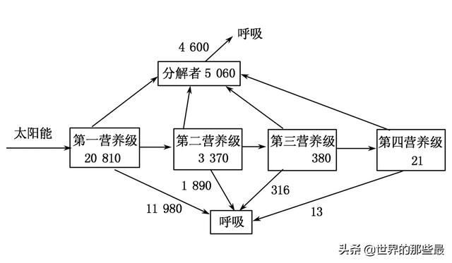 老虎寿命