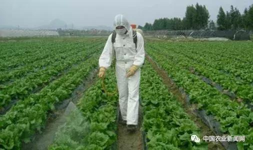 农业生产的命根子——农药和化肥，你所不知道的知识！
