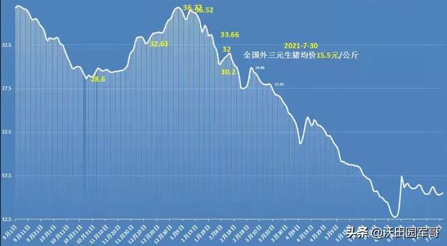 7月31日豬價預測 漲 漲 漲 21年7月31日豬價分析 Kks資訊網