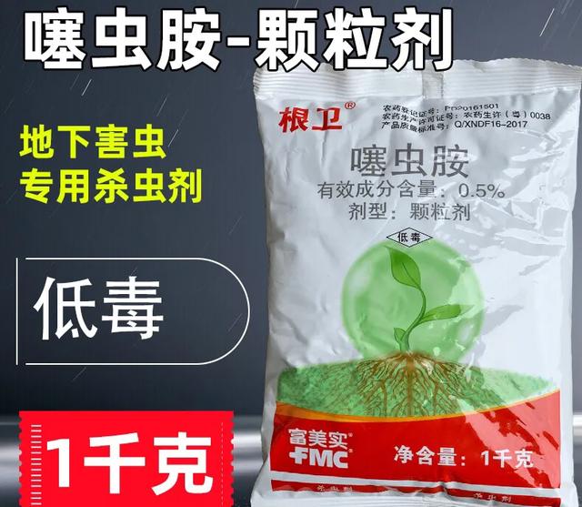 果园里的4大**害虫，掌握2个高发季节和为害期，杀灭害虫并不难7