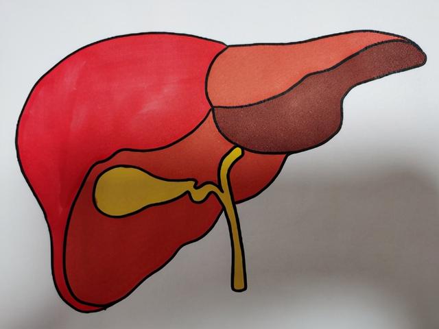 患有这2类疾病的人，最好是不要喝酒了，别拿生命开玩笑
