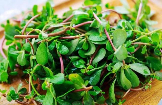 不是孕妈身体太娇气，而是这三种蔬菜太“毒”，胎儿的发育耗不起