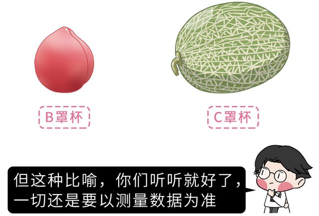 80c胸围是多少