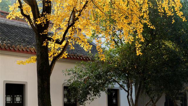 2019长沙药用机械展