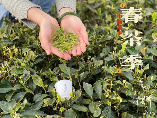 立夏洗砂机